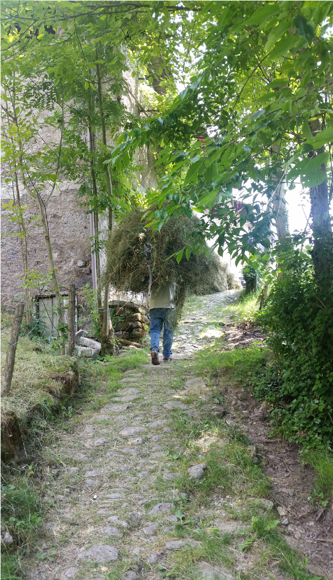 Il paese di Costa Serina è attraversato dall’antica via percorsa dai mercanti durante l’epoca medievale